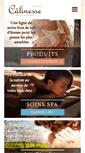 Mobile Screenshot of calinesse.com