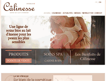 Tablet Screenshot of calinesse.com